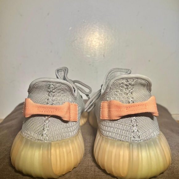 2019 Yeezy Boost 350 V2 True Form